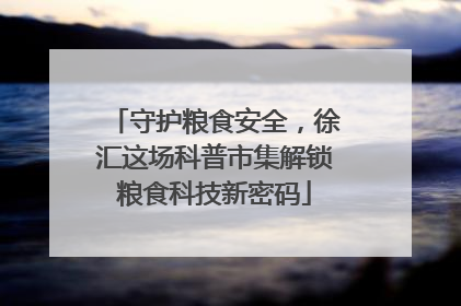 守护粮食安全，徐汇这场科普市集解锁粮食科技新密码