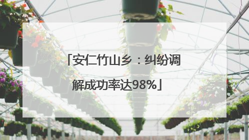 安仁竹山乡：纠纷调解成功率达98%