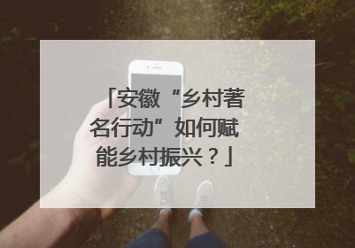 安徽“乡村著名行动”如何赋能乡村振兴？