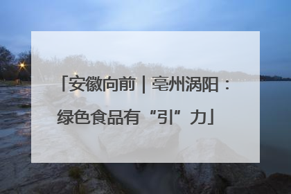 安徽向前｜亳州涡阳：绿色食品有“引”力