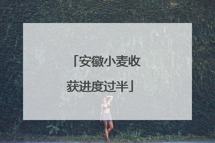 安徽小麦收获进度过半