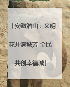 安徽潜山：文明花开满城芳 全民共创幸福城