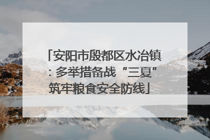 安阳市殷都区水冶镇：多举措备战“三夏” 筑牢粮食安全防线