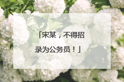 宋某，不得招录为公务员！