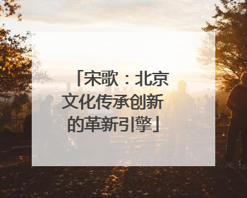宋歌：北京文化传承创新的革新引擎