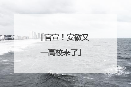 官宣！安徽又一高校来了