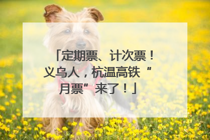 定期票、计次票！义乌人，杭温高铁“月票”来了！