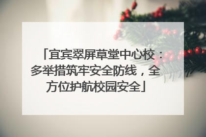宜宾翠屏草堂中心校：多举措筑牢安全防线，全方位护航校园安全
