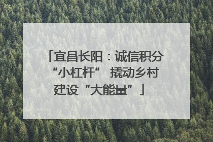 宜昌长阳：诚信积分“小杠杆” 撬动乡村建设“大能量”