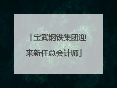宝武钢铁集团迎来新任总会计师
