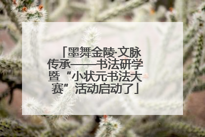 墨舞金陵·文脉传承——书法研学暨“小状元书法大赛”活动启动了