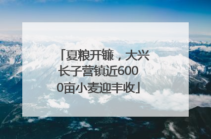 夏粮开镰，大兴长子营镇近6000亩小麦迎丰收