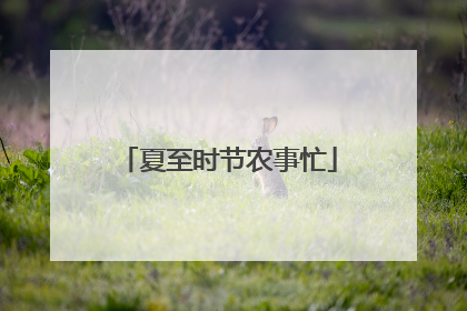 夏至时节农事忙