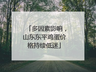 多因素影响，山东东平鸡蛋价格持续低迷
