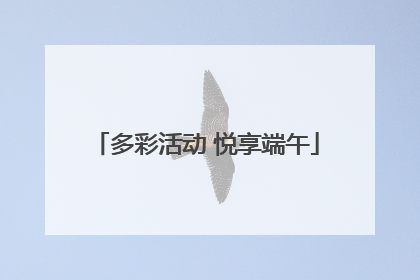 多彩活动 悦享端午