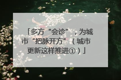 多方“会诊”，为城市“把脉开方”（城市更新这样推进①）
