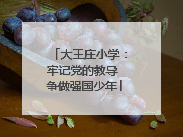 大王庄小学：牢记党的教导 争做强国少年