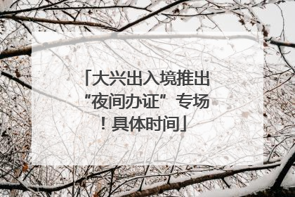 大兴出入境推出“夜间办证”专场！具体时间