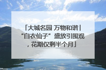 大城名园 万物和谐│“白衣仙子”盛放引围观，花期仅剩半个月