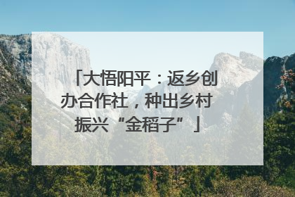 大悟阳平：返乡创办合作社，种出乡村振兴“金稻子”