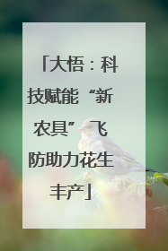 大悟：科技赋能“新农具” 飞防助力花生丰产