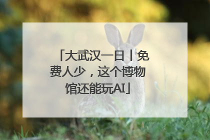 大武汉一日丨免费人少，这个博物馆还能玩AI