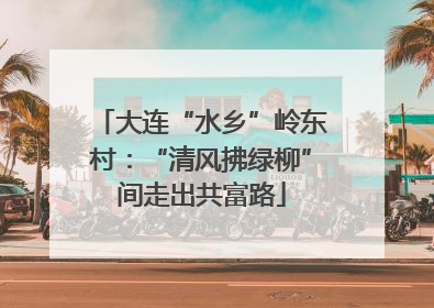 大连“水乡”岭东村：“清风拂绿柳”间走出共富路