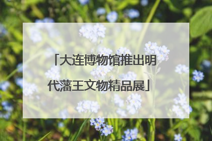 大连博物馆推出明代藩王文物精品展