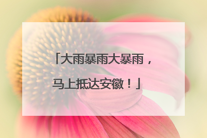 大雨暴雨大暴雨，马上抵达安徽！