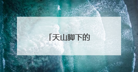 天山脚下的闽茶时光