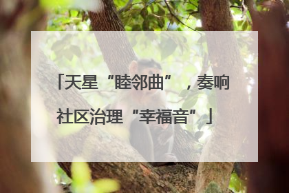 天星“睦邻曲”，奏响社区治理“幸福音”