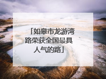 如皋市龙游湾路荣获全国最具人气的路