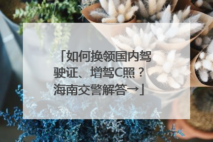 如何换领国内驾驶证、增驾C照？海南交警解答→