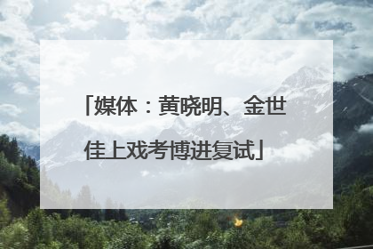 媒体：黄晓明、金世佳上戏考博进复试