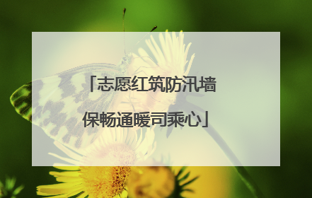 志愿红筑防汛墙 保畅通暖司乘心