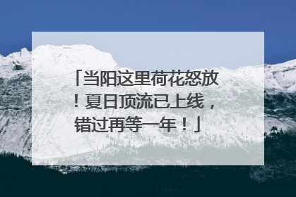 当阳这里荷花怒放！夏日顶流已上线，错过再等一年！