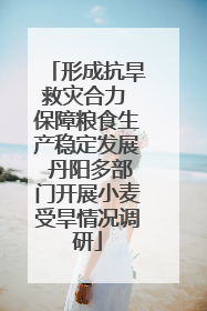 形成抗旱救灾合力 保障粮食生产稳定发展 丹阳多部门开展小麦受旱情况调研