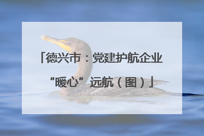德兴市：党建护航企业“暖心”远航（图）