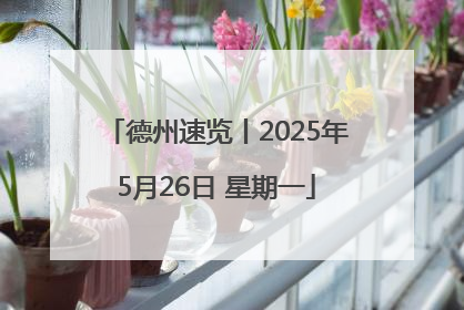 德州速览丨2025年5月26日 星期一