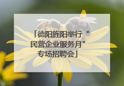德阳旌阳举行“民营企业服务月”专场招聘会