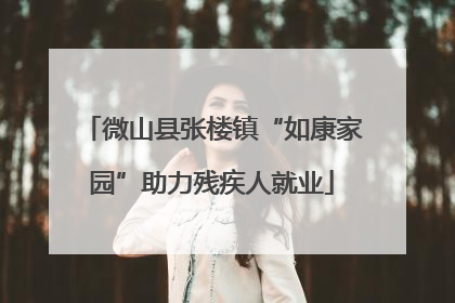 微山县张楼镇“如康家园”助力残疾人就业