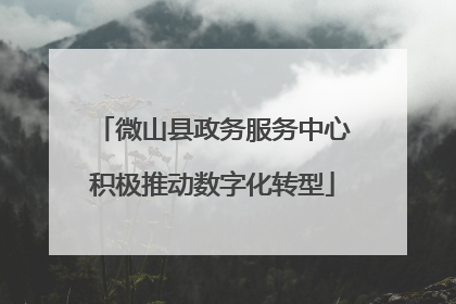 微山县政务服务中心积极推动数字化转型