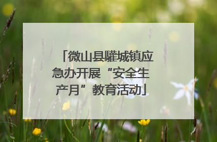 微山县驩城镇应急办开展“安全生产月”教育活动