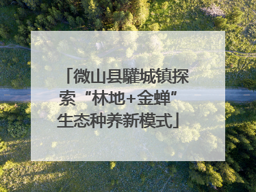 微山县驩城镇探索“林地+金蝉”生态种养新模式