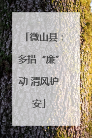 微山县：多措“廉”动 清风护安