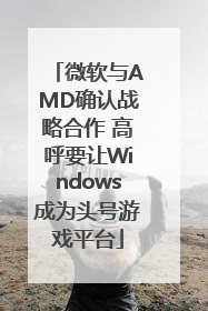 微软与AMD确认战略合作 高呼要让Windows成为头号游戏平台