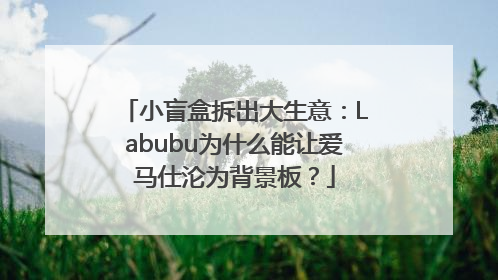 小盲盒拆出大生意：Labubu为什么能让爱马仕沦为背景板？