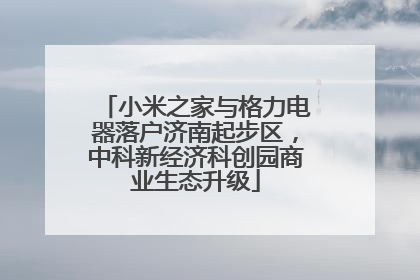 小米之家与格力电器落户济南起步区，中科新经济科创园商业生态升级