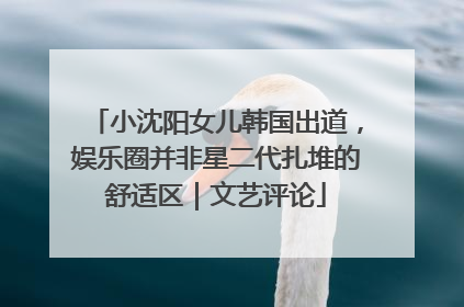 小沈阳女儿韩国出道，娱乐圈并非星二代扎堆的舒适区｜文艺评论