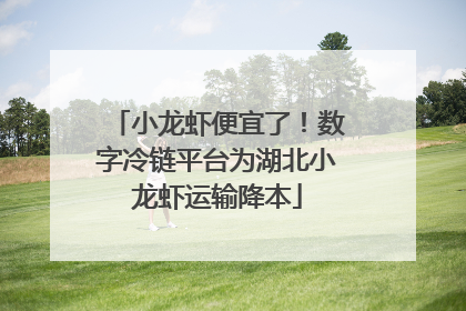 小龙虾便宜了！数字冷链平台为湖北小龙虾运输降本